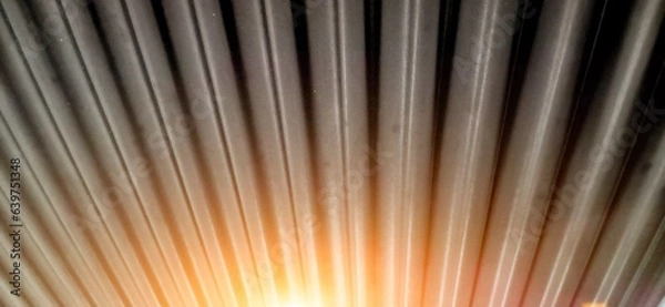 Fototapeta background with rays