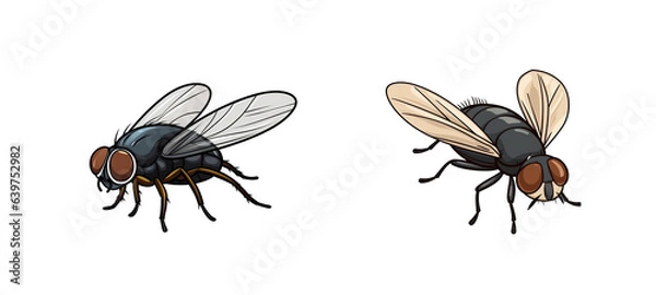 Obraz Set of housefly insects.png isolated on a transparent background generative AI.