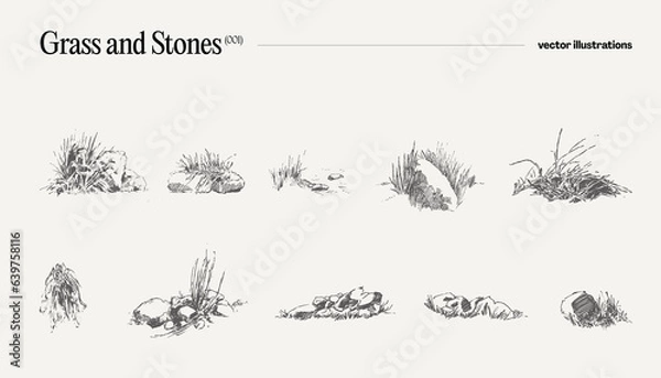 Obraz High detail hand drawn vector illustration of grass and stones, realistic drawing, sketch