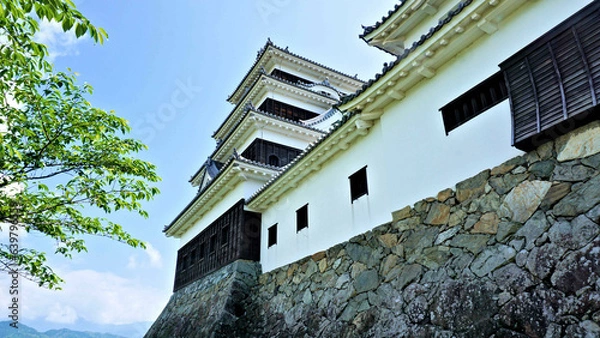 Fototapeta 大洲城