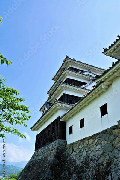 Fototapeta 大洲城