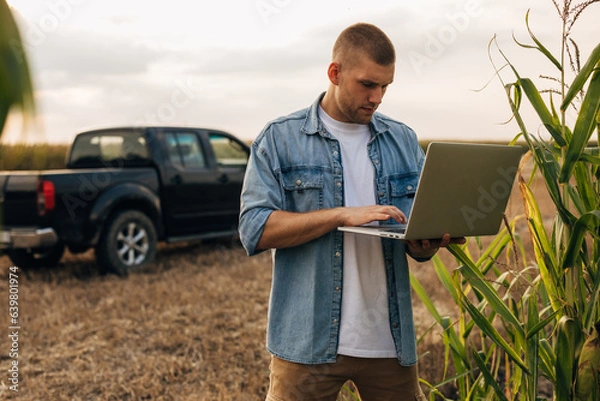 Fototapeta A man is using laptop in te field.