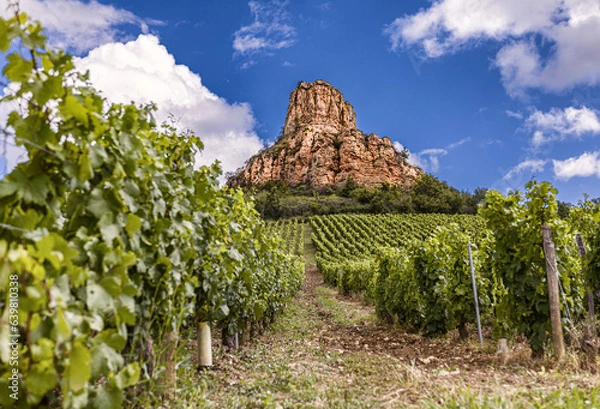 Obraz The Mâconnais is located in the south of Burgundy, it is the southernmost vineyard in the region.