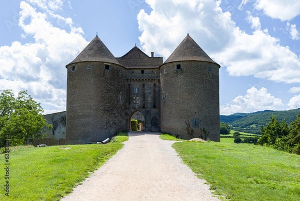 Obraz Castles in France are beautiful and hot in summer
