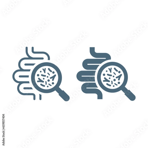 Fototapeta Guts or intestines with microbiome vector icon. Bowels with magnifying glass and bacteria or microbiota symbol.