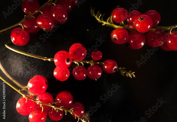 Obraz red currant tassels on a dark background