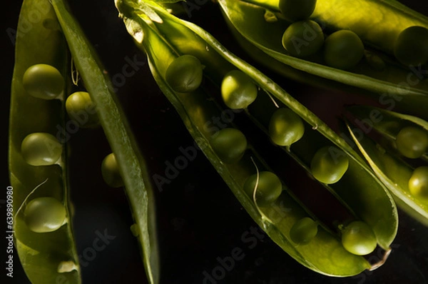 Obraz ripe green pea pods on a dark background