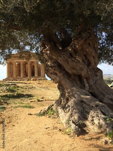 Fototapeta tempio della concordia