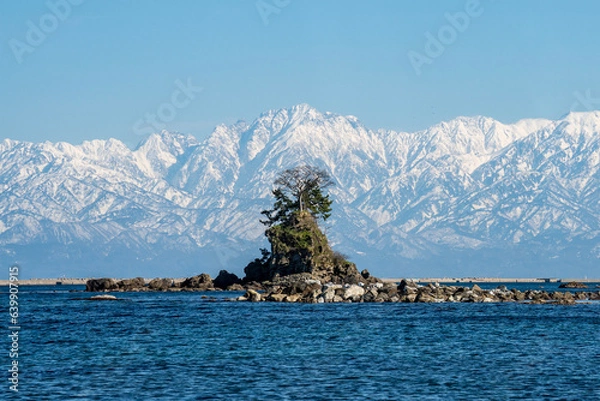 Obraz 雨晴海岸にて 女岩と立山連峰-3