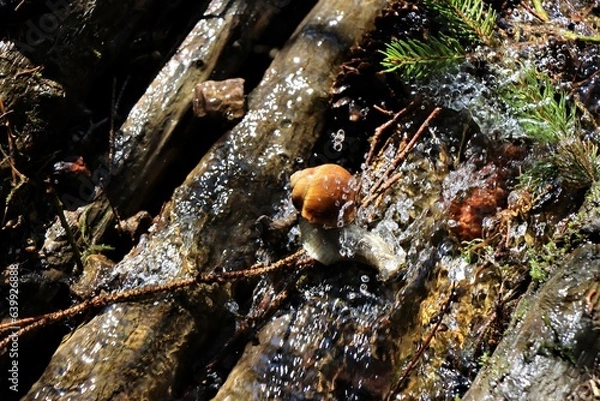 Fototapeta überleben