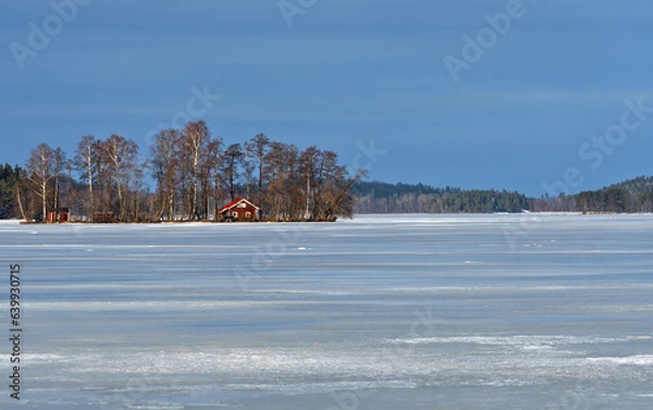 Obraz landscape with snow covered trees