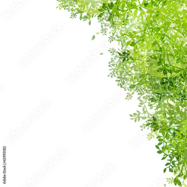 Fototapeta 光りと緑の葉