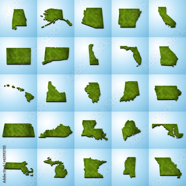 Fototapeta US State Maps Set I