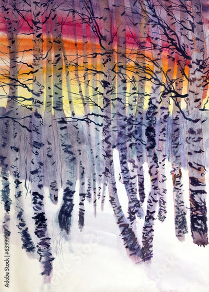 Fototapeta birch in winter