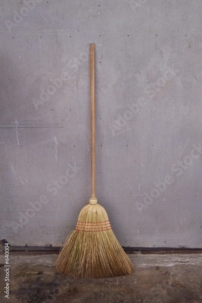 Obraz broom