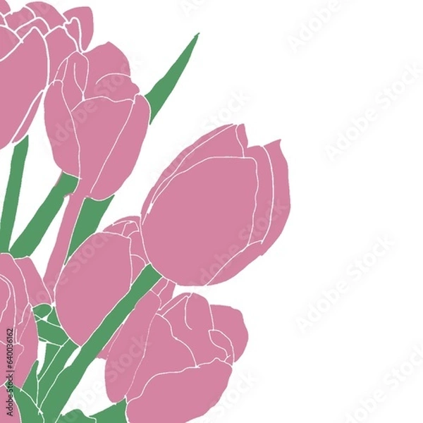 Obraz pink rose on white background