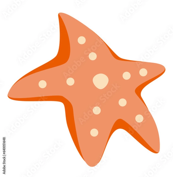 Obraz starfish