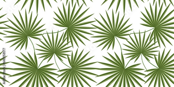 Fototapeta Background, seamless pattern on a transparent background - Washingtonia palm leaves.