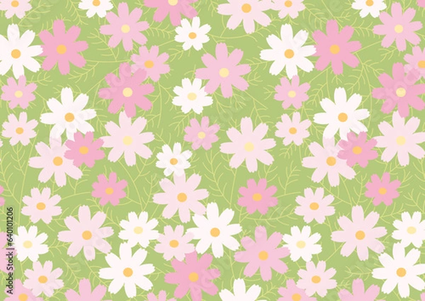 Obraz カラフルなコスモスの背景素材