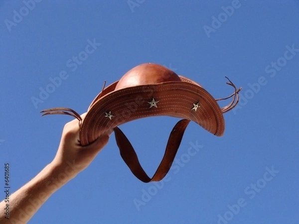 Fototapeta Chapéu de couro