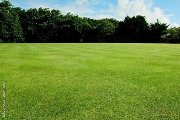 Fototapeta Green short cut grass sport field background