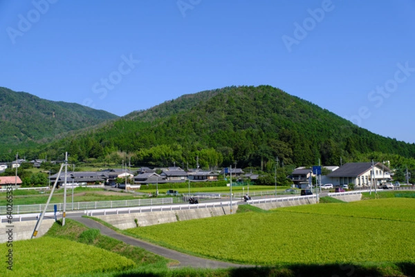 Obraz ２０２３年夏　京都府亀岡市　農村風景