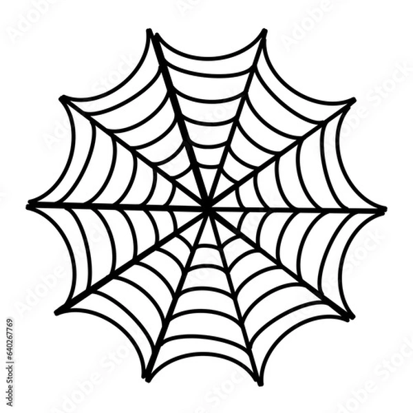 Obraz spider and web