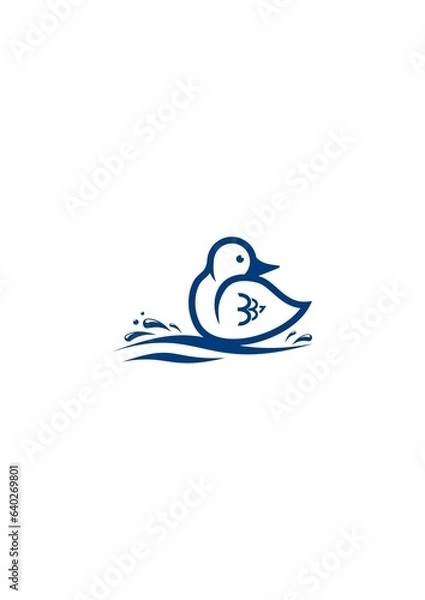 Fototapeta duck in the water