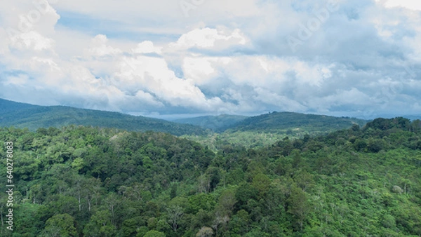 Fototapeta Aerial view of the green and beautiful tropical forest in Aceh province, Indonesia