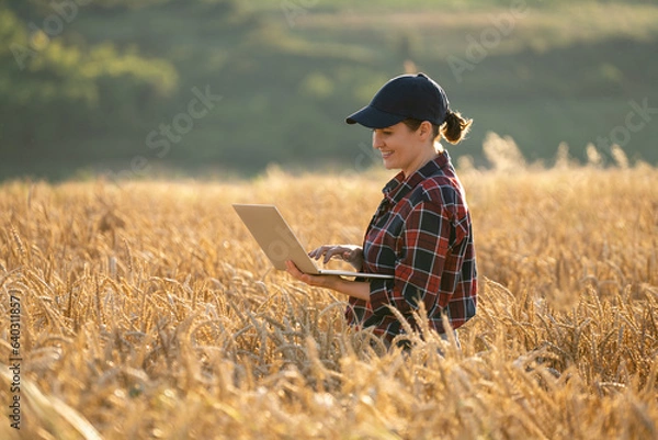 Fototapeta Woman farmer working with laptop on wheat field. Smart farming and digital agriculture
