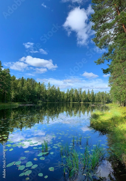 Obraz Summer wilderness lake and forest scenery with blue water and sky with white clouds, vertical