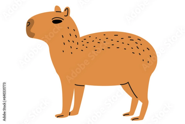 Obraz Capybara cartoon illustration isolated on white background. 