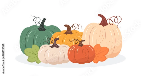 Fototapeta Colorful pumpkins fall design. Vector illustration in flat style