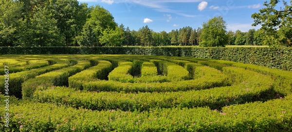 Fototapeta Labyrinth Garden