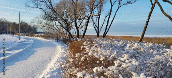 Fototapeta Winter Park