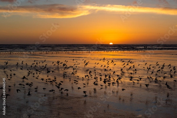Fototapeta Pacific Beach State Park