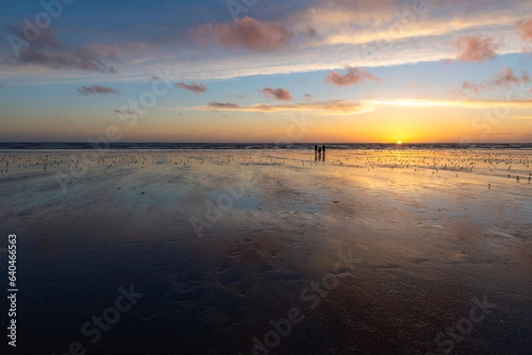 Fototapeta Pacific Beach State Park