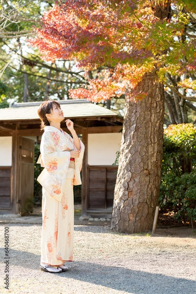 Obraz 美しい日本女性