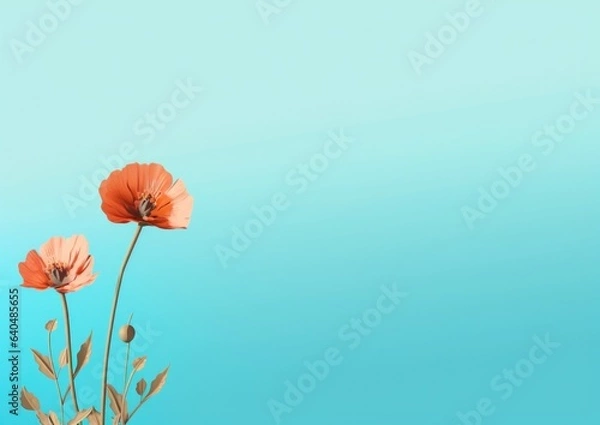 Fototapeta Red and white flowers on a blue and pale pink white background gradient. Negative space Graphic resource background for design work