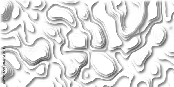 Fototapeta Abstract wavy line 3d paper cut white background. Topographic canyon geometric map relief texture with curved layers and shadow. paper cut 3d render topography abstract ,beautiful white color.