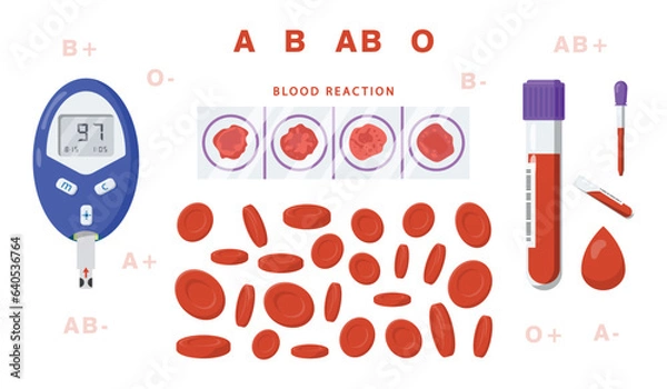 Obraz Blood circulating throughout the body
