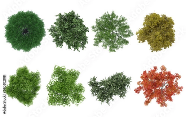Obraz Realistic top view trees