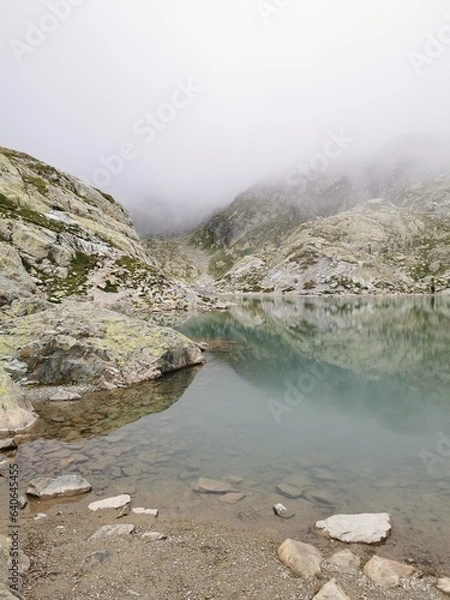 Obraz river in the mountain