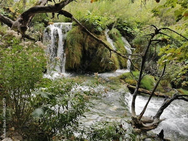 Obraz waterfall in the forest