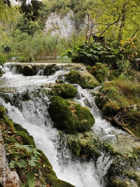 Obraz waterfall in the forest