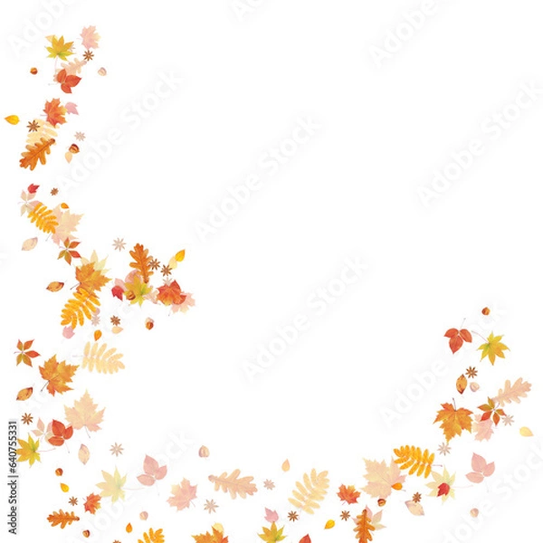 Obraz autumn leaves frame