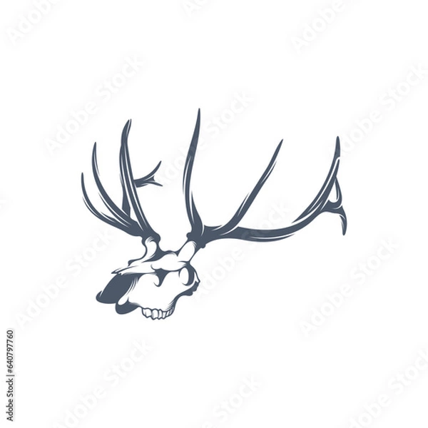 Obraz Head Deer bone vector illustration design. Head Deer logo design Template.
