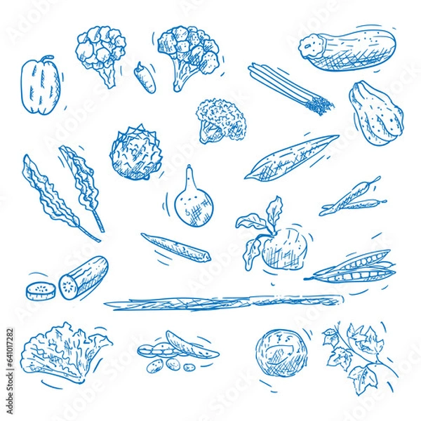 Fototapeta Vegetables Hand Drawn Vector Element 1