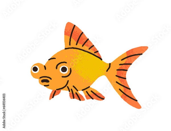 Obraz Cute gold fish with big eyes. Funny little goldfish swimming. Exotic tropical aquarium animal, decorative creature. Surprised shocked emotion. Flat vector illustration isolated on white background