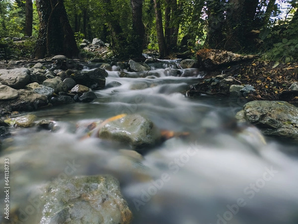 Obraz waterfall in the forest